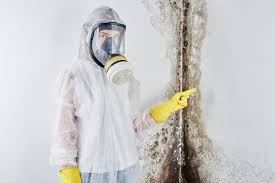 Best Asbestos and Lead Testing During Mold Inspection  in Defuniak Springs, FL